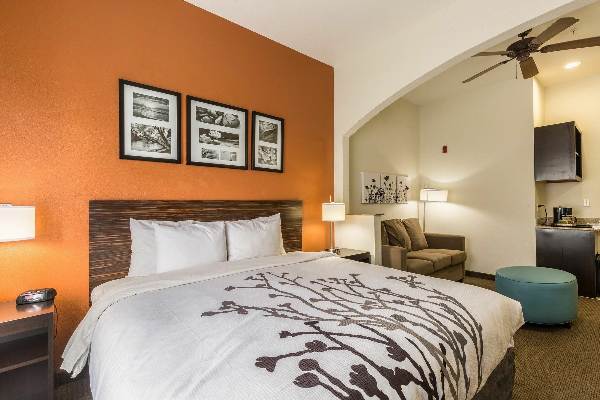 Sleep Inn & Suites Stafford - Sugarland Экстерьер фото